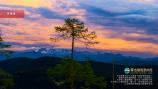 普達(dá)措國家公園（天寶臺）