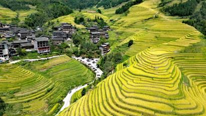 【秋攝龍脊】<桂林/陽(yáng)朔/龍脊梯田3天高鐵團(tuán)>龍脊攝影師全程跟拍(贈(zèng)送6張照片+1個(gè)小視頻)