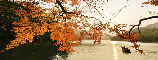 流溪河國(guó)家森林公園2
