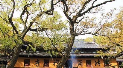 景點(diǎn)：舟山法雨寺
