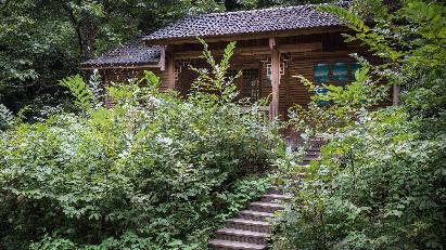 景點(diǎn)：龍虎山無(wú)蚊村