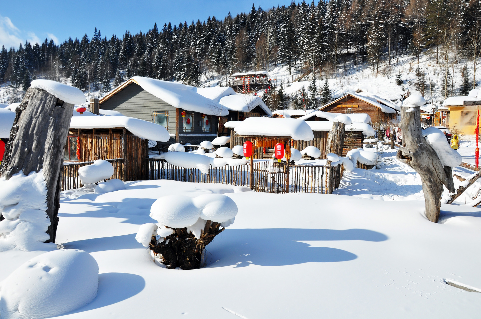 雪鄉(xiāng)風(fēng)景封面圖