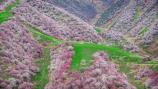 【V1臻美伊犁 雙飛8日】伊犁·賽里木湖·天山花?！つ抢岵菰?火焰山·獨山子峽谷·庫木塔格沙漠