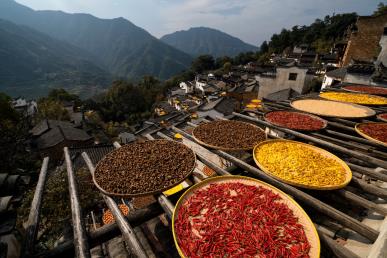 【國(guó)風(fēng)畫卷】<廬山、鄱陽(yáng)湖石鐘山、景德鎮(zhèn)、婺源篁嶺、三清山、夜游望仙谷6日游>